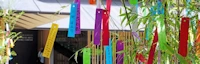 2026 Tanabata, The Star Festival Event (This Ancient Tradition of Writing Wishes or Prayers Comes From the Edo Period)