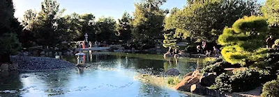 Tanabata Celebration: Live Jazz, Stories, Sake & Beer at the Garden (One night beneath the stars. Music, wishes, and a timeless Japanese tradition.)